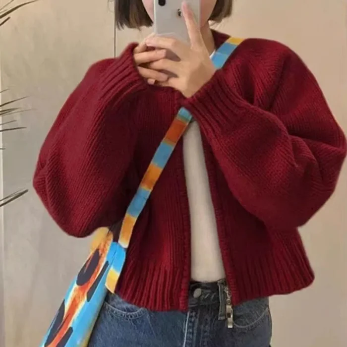 Fall Winter Knitting Cropped - Image 3